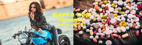 ПСИЛОЦИБИНОВЫЕ ГРИБЫ Алексеевка
